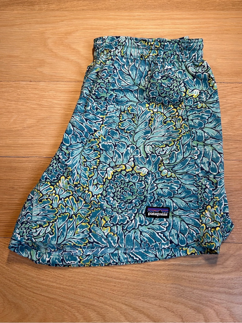 Women’s Patagonia Shorts